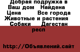 Добрая подружка,в Ваш дом!!!Найдена › Цена ­ 10 - Все города Животные и растения » Собаки   . Дагестан респ.